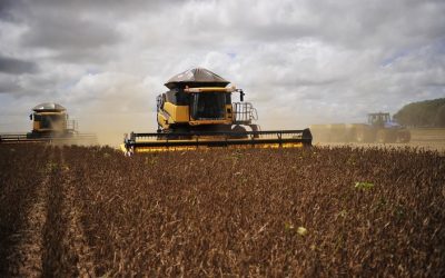 Agricultores argentinos seguram vendas de soja por incerteza com cenário cambial