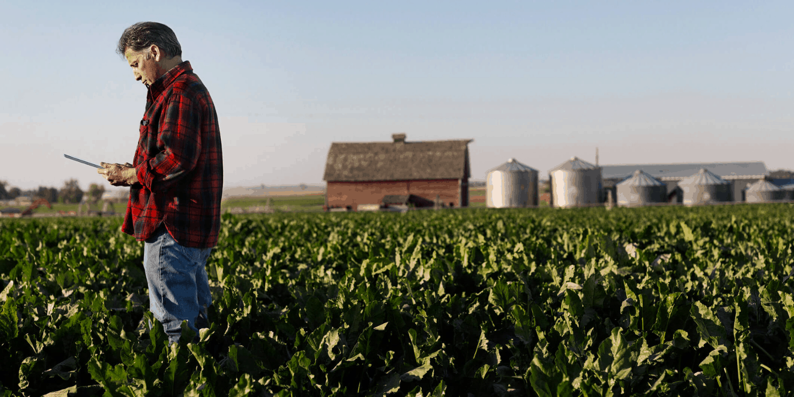 nova_lei_recuperação_judicial_benefício_ao_produtor_rural_17.05.2021