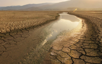 Entenda como a crise hídrica impacta o agronegócio